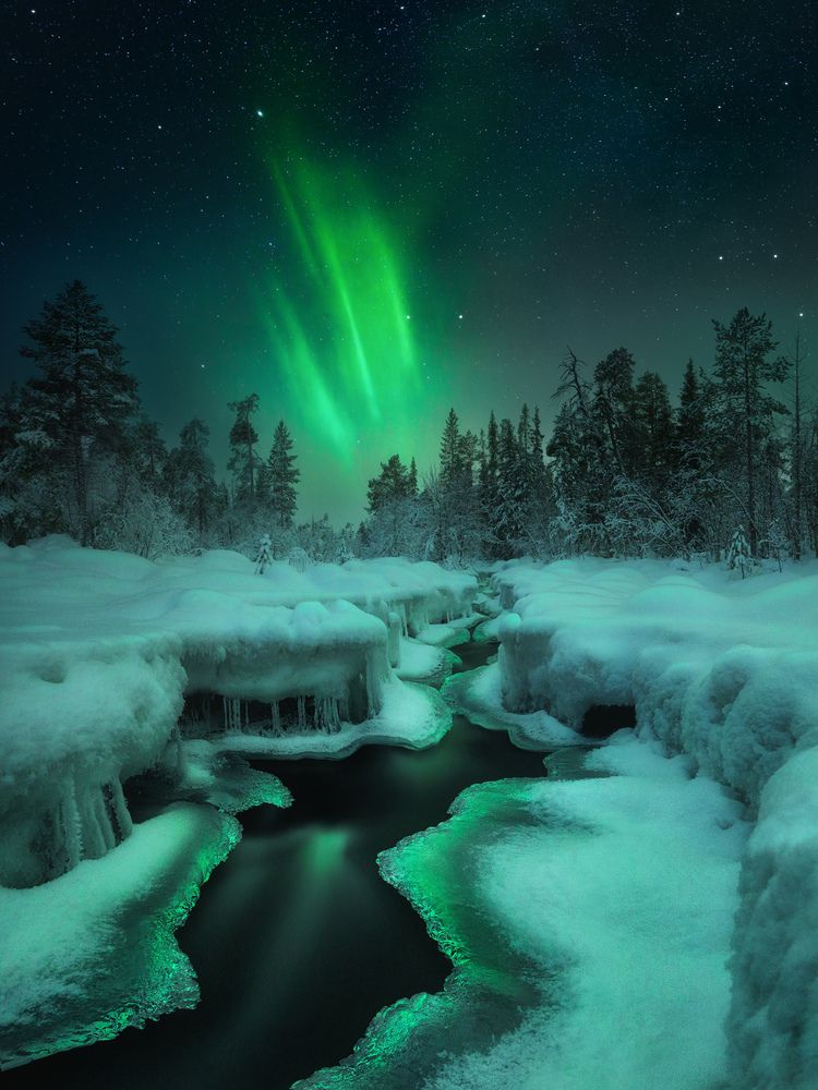 Фотография автора Медянцев Дмитрий