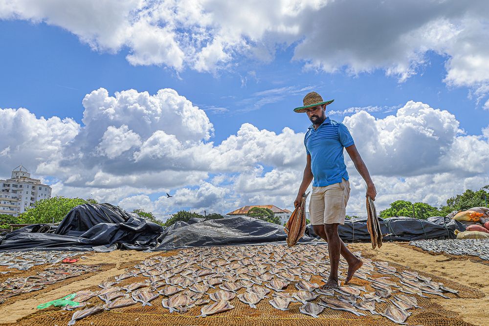 Фотография автора Manjula Perera