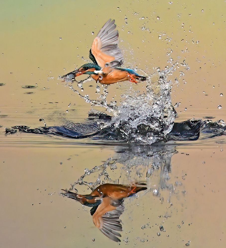 Photograph by Abhijeet Phalsankar