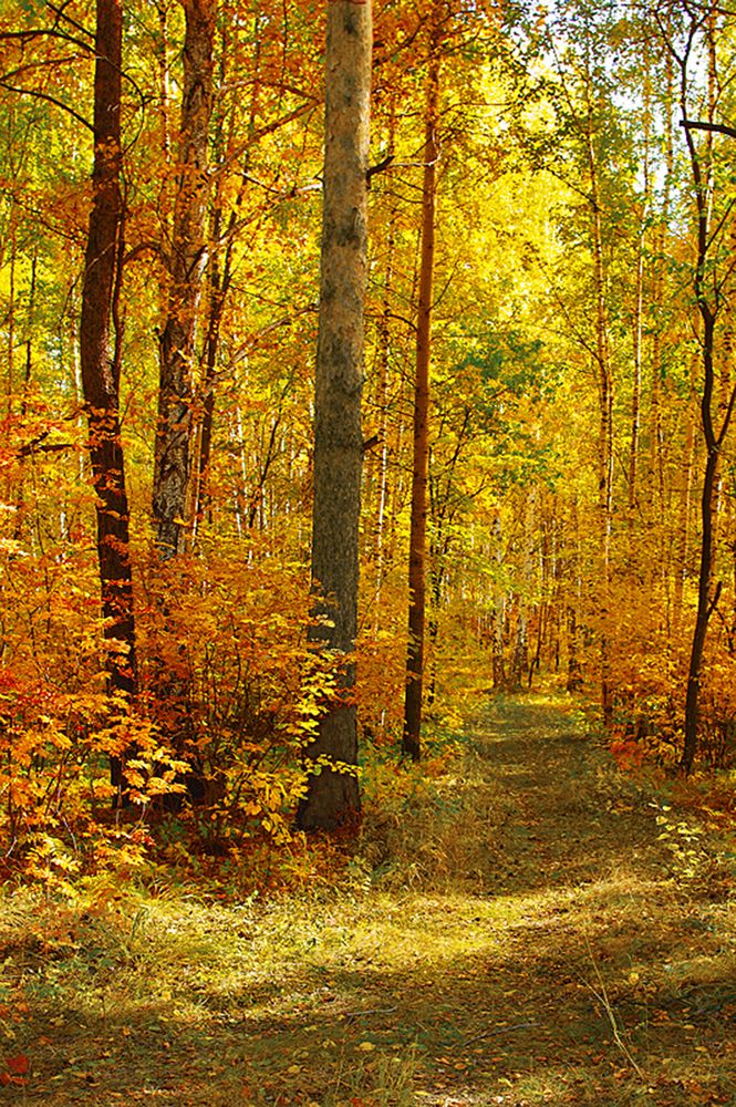 Photograph by Николай Кандауров