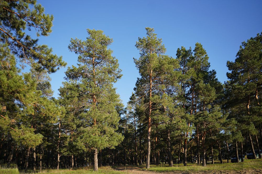 Photograph by Наталья Коржова