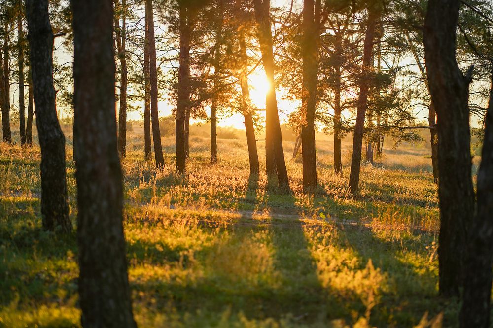 Photograph by Наталья Коржова