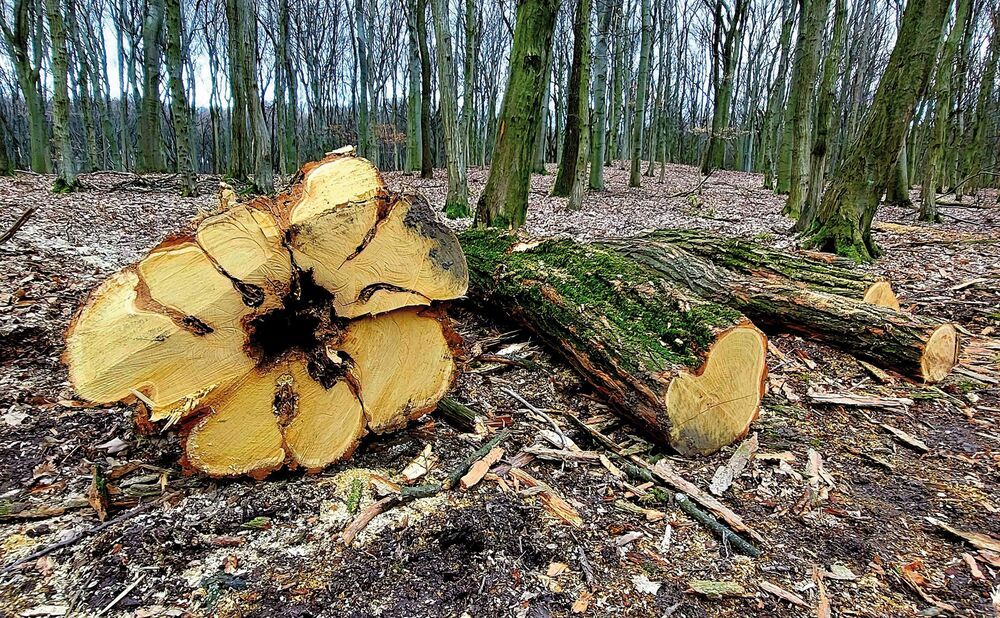 Photograph by Brigita Lehoťanová