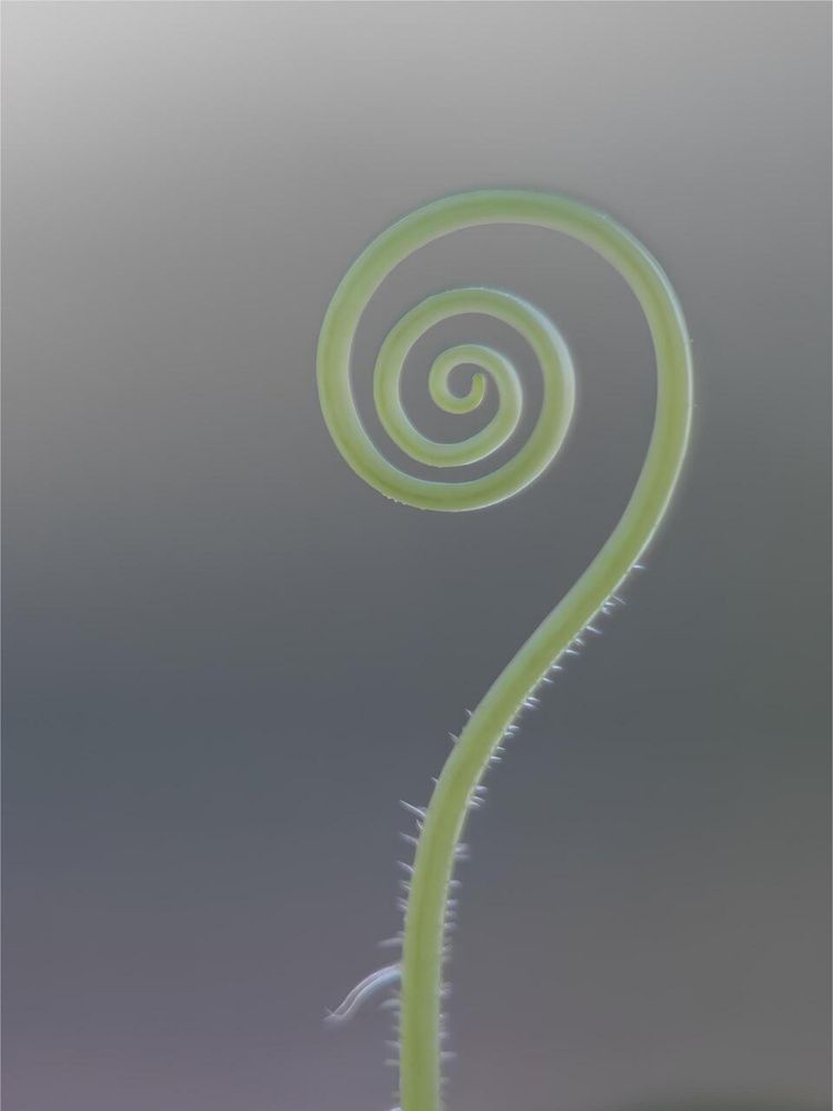 Photograph by Natalija Krucina