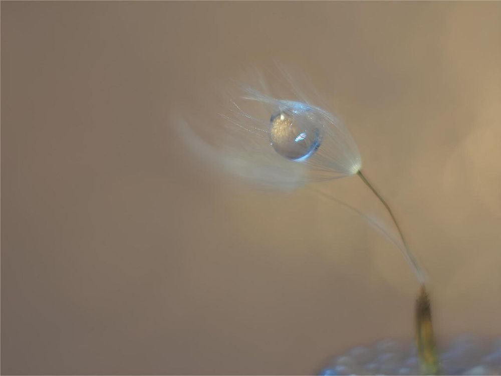 Photograph by Natalija Krucina