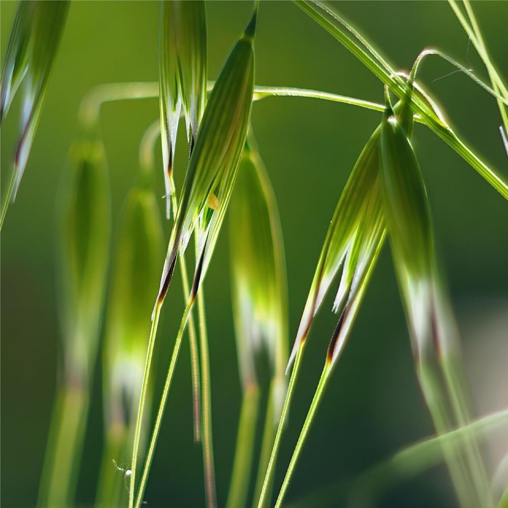 Photograph by Natalija Krucina