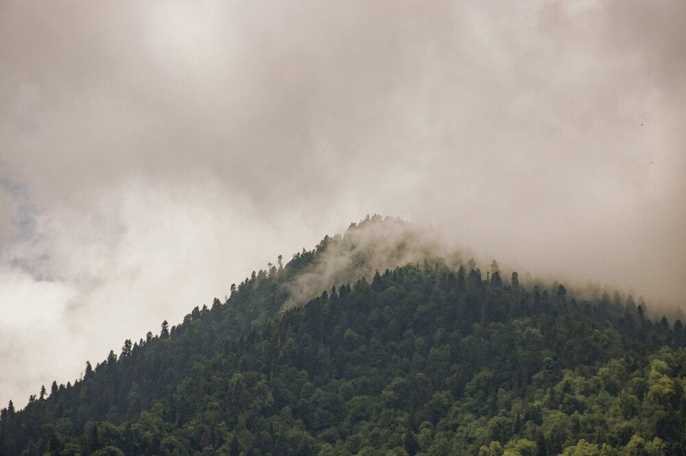 Photograph by Алексей Новиков