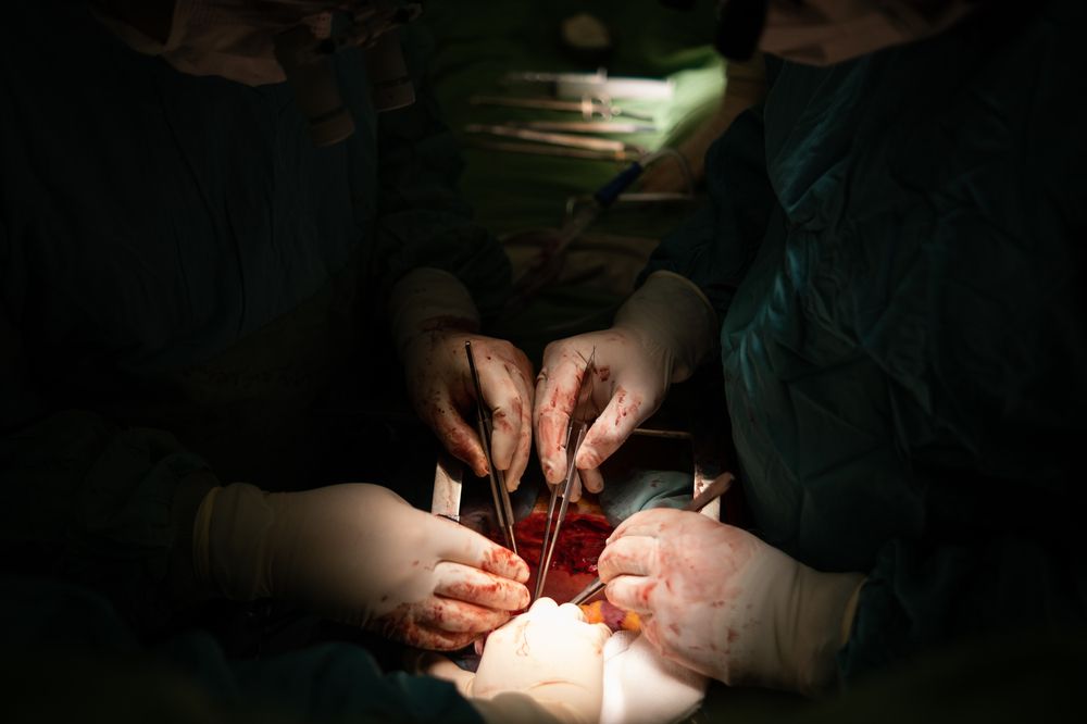 Фотография автора Javid Hashimov