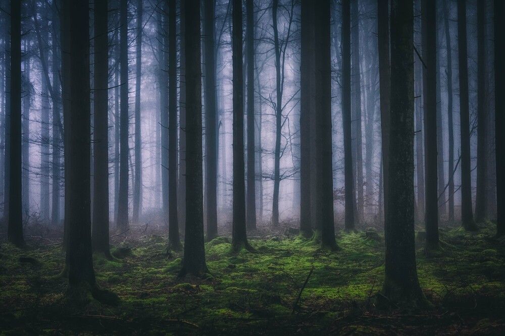 Photograph by Guy Krier