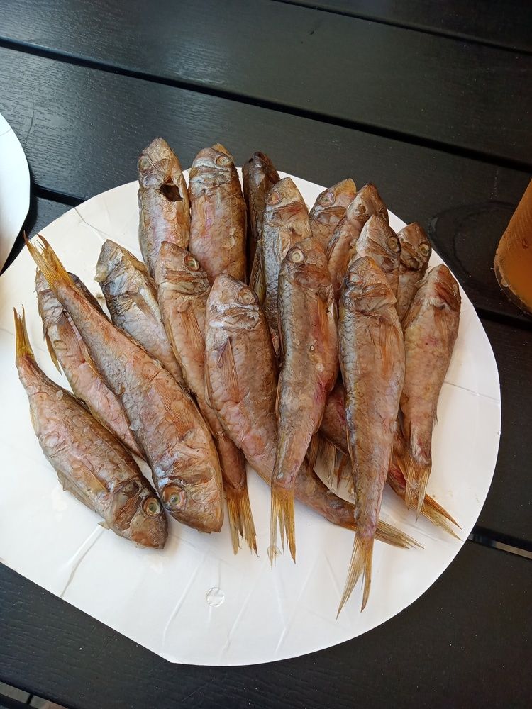 Photo #11840214