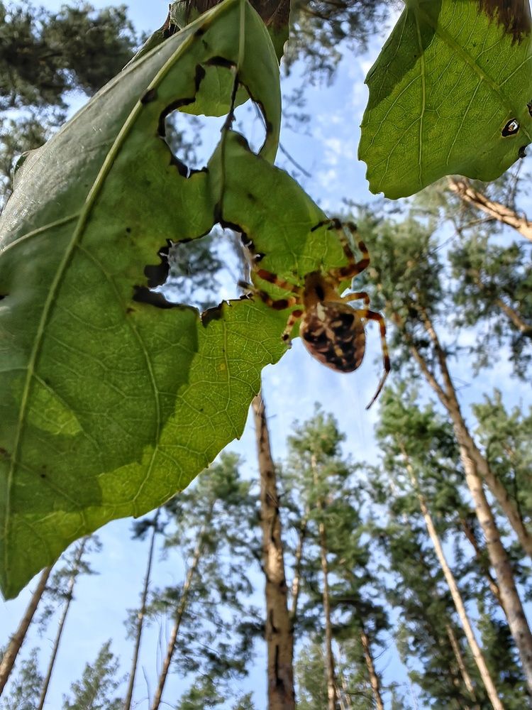 Photograph by Анастасия Ермакова