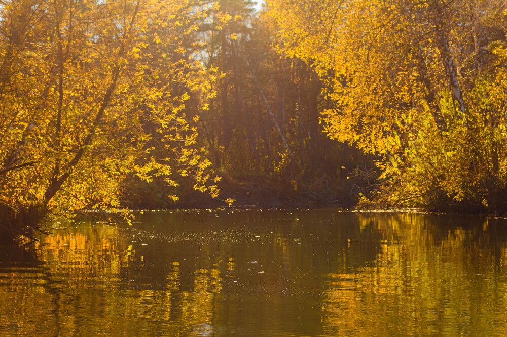 Photograph by Ольга Ильина