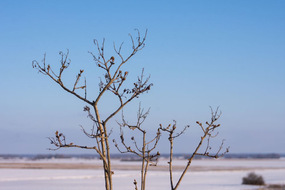 Фотография автора Нина Шкляр