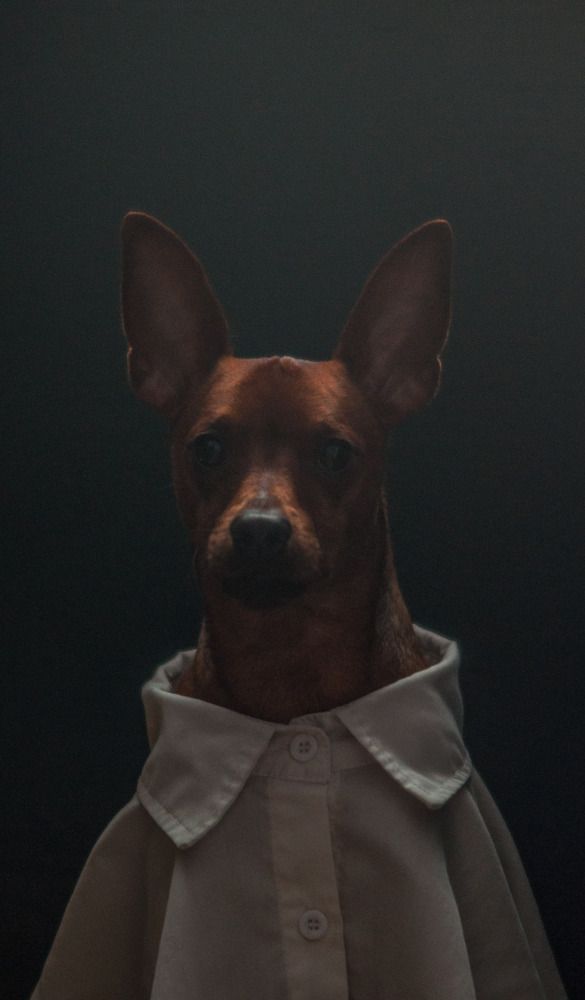 Photograph by Виктория