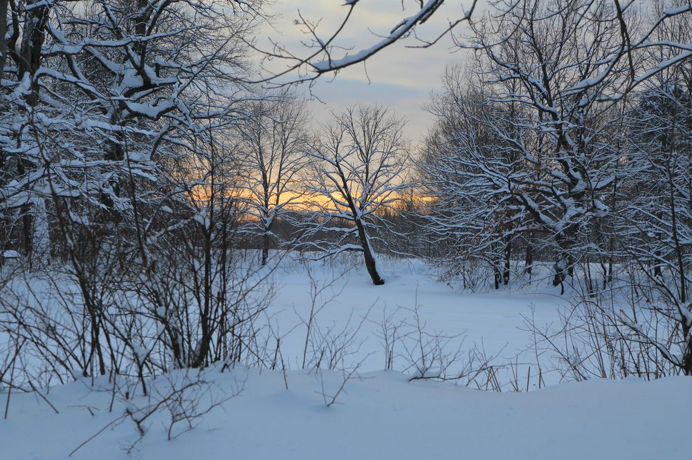 Photograph by Мария Андреева