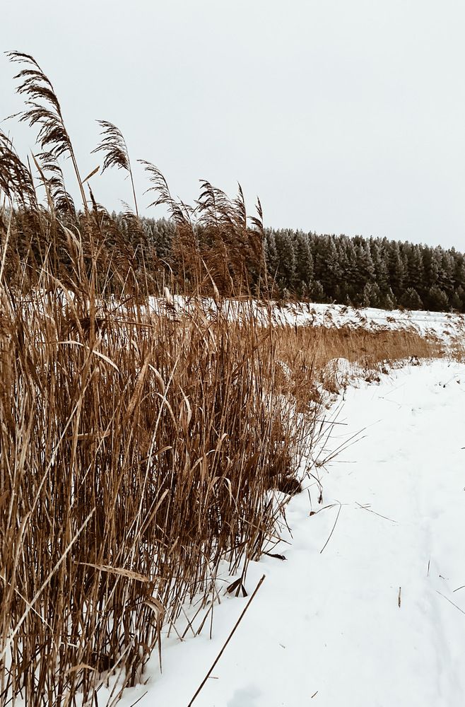 Фотография автора IRA CHUDAKOVA
