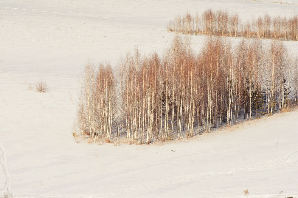 Photograph by Михаил Штенберг