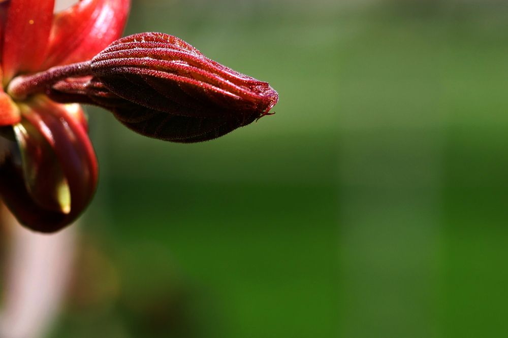 Photograph by Наталья Лобанова