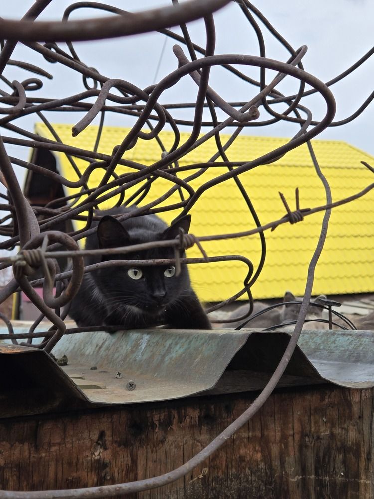 Photograph by Руслан Поляков