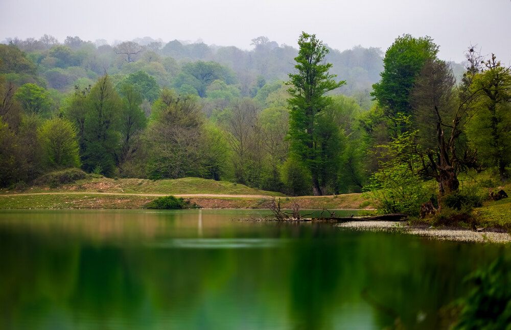 Фотография автора Farzad Mohebbipour