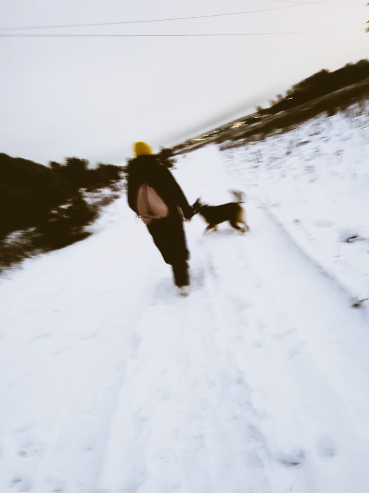 Фотография автора IRA CHUDAKOVA