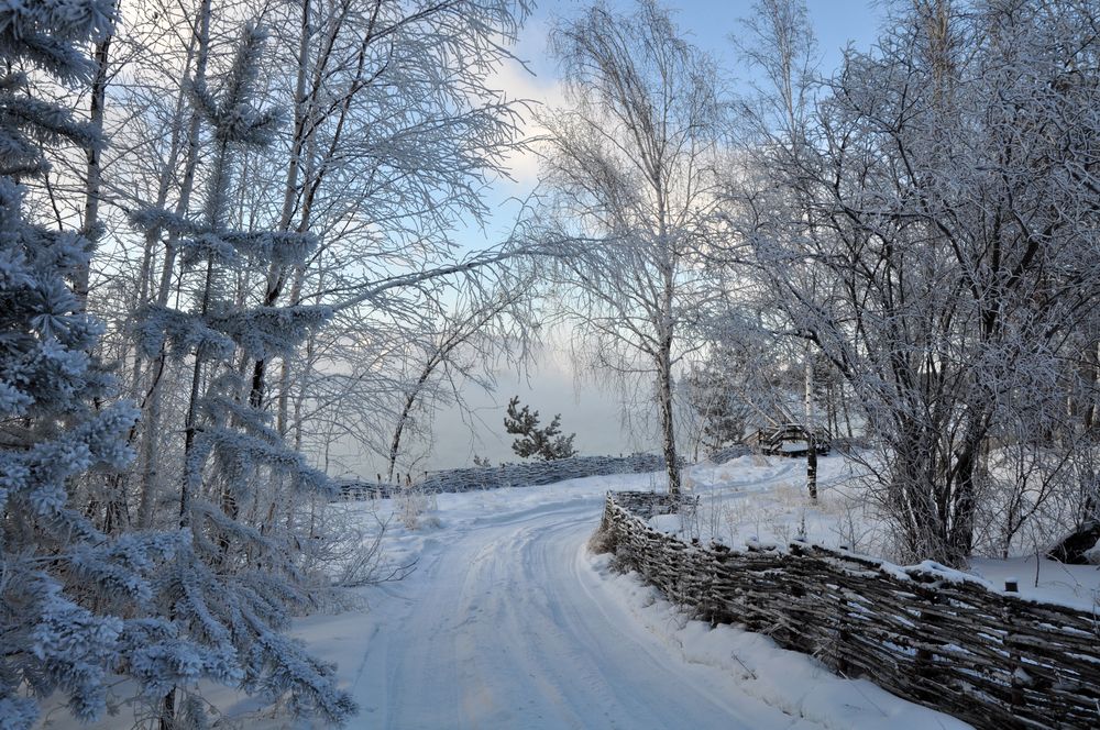 Photograph by Светлана