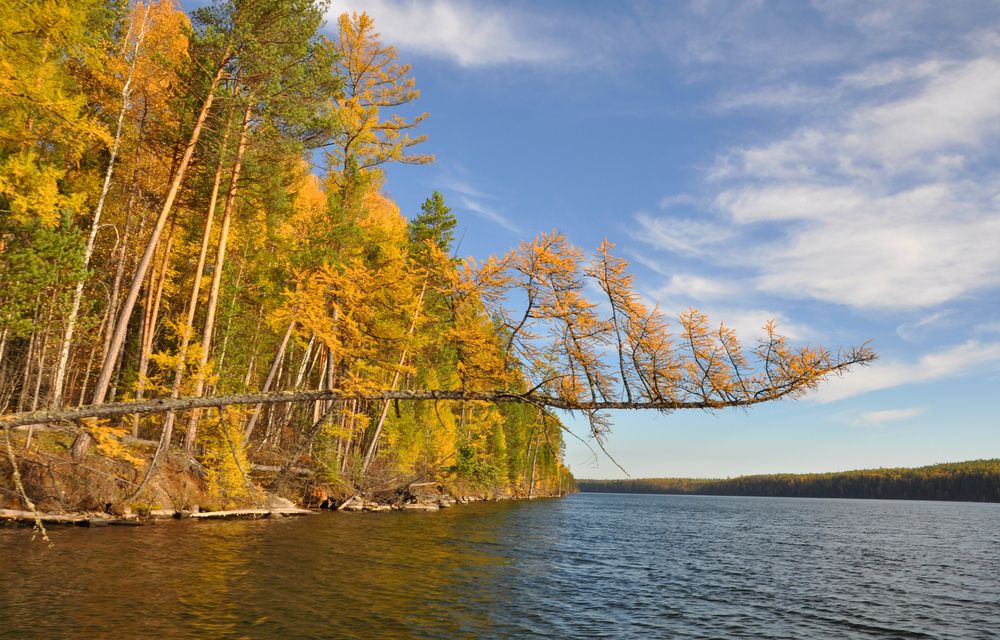 Photograph by Светлана