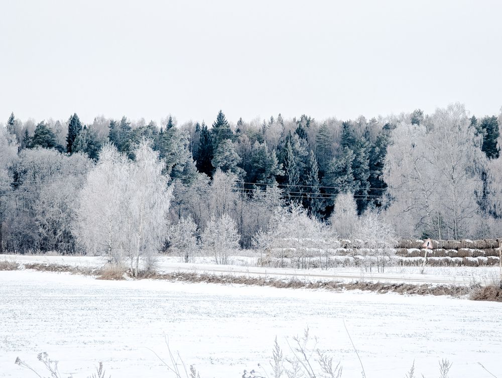Photograph by Софья Титова