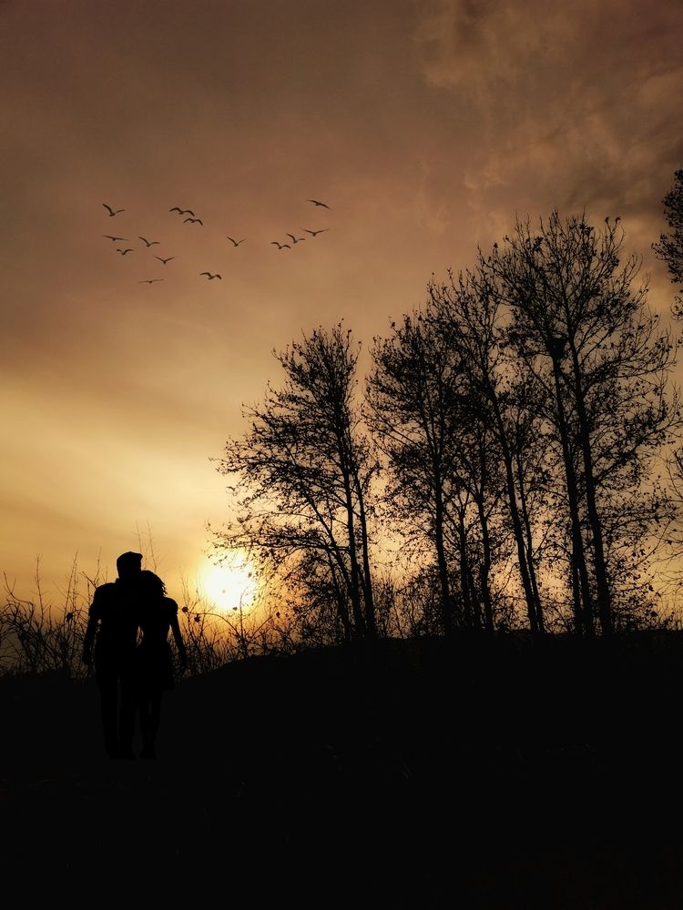 Photograph by mohammad hoseininezhad