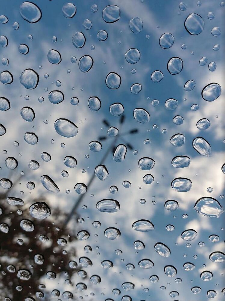 Photograph by Brigita Lehoťanová