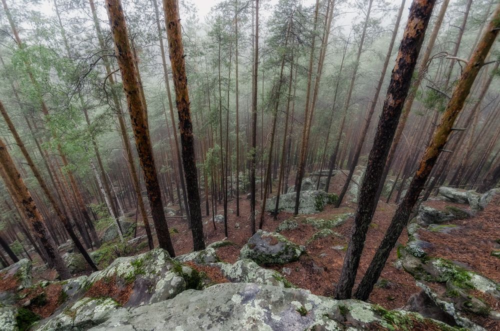 Photograph by Ирина Корпачева