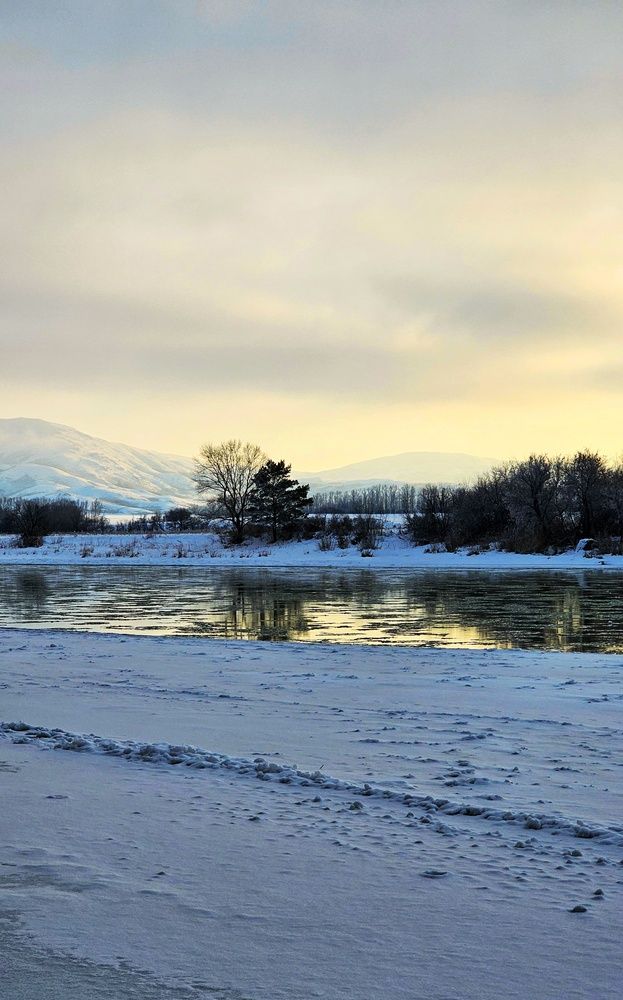 Photograph by Ольга Веселова