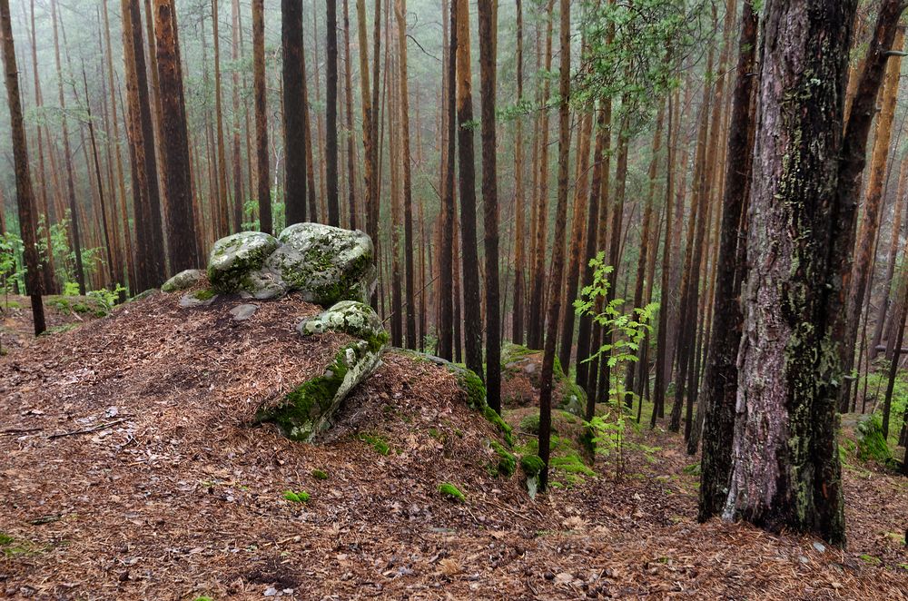 Photograph by Ирина Корпачева