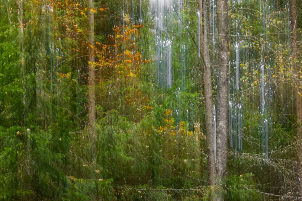 Photograph by Галина Павлова