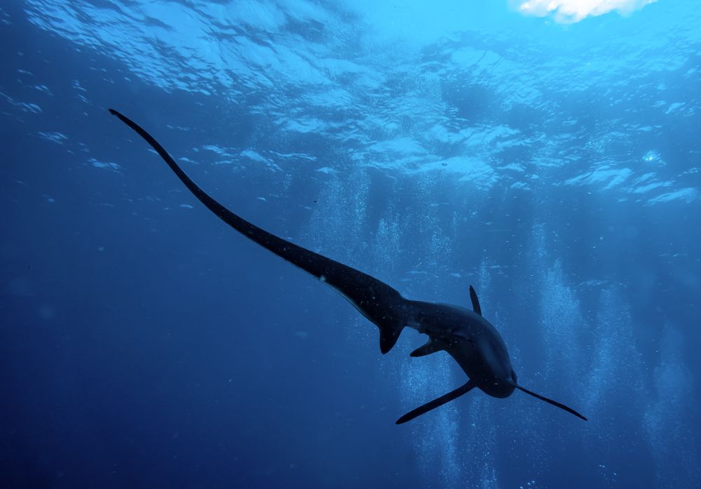 Photograph by Александр Федяев