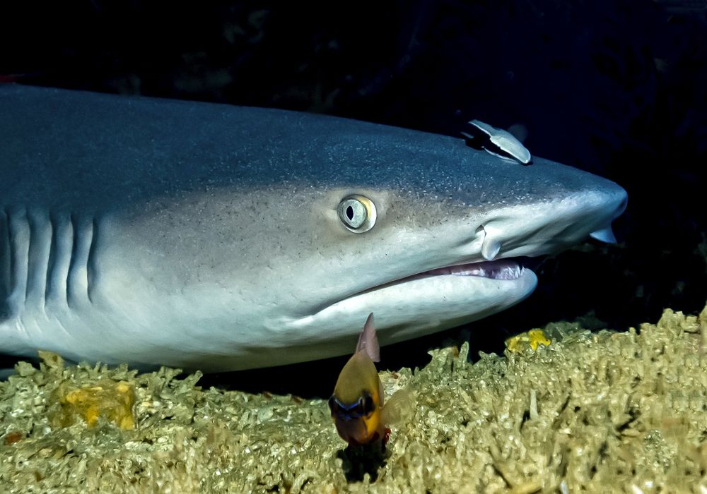 Photograph by Александр Федяев