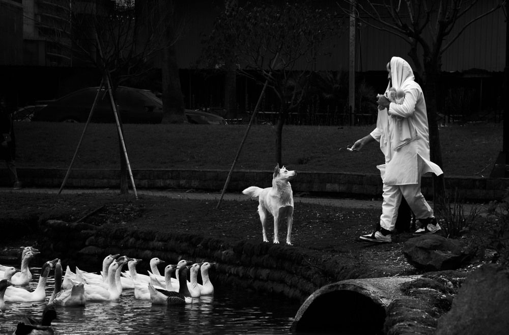 Photograph by Sergej