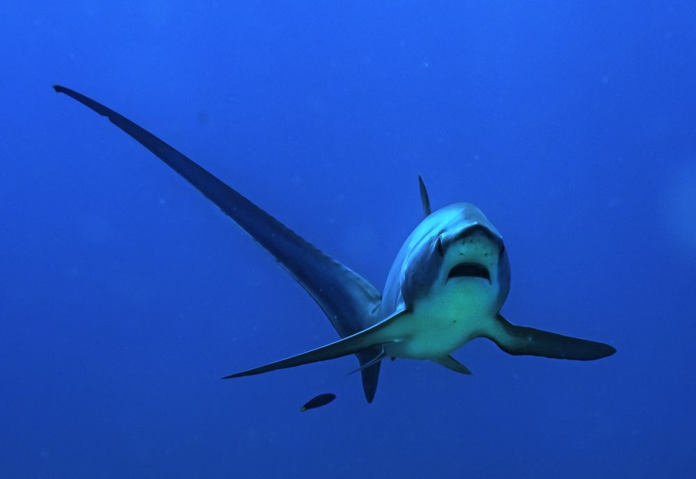 Photograph by Александр Федяев