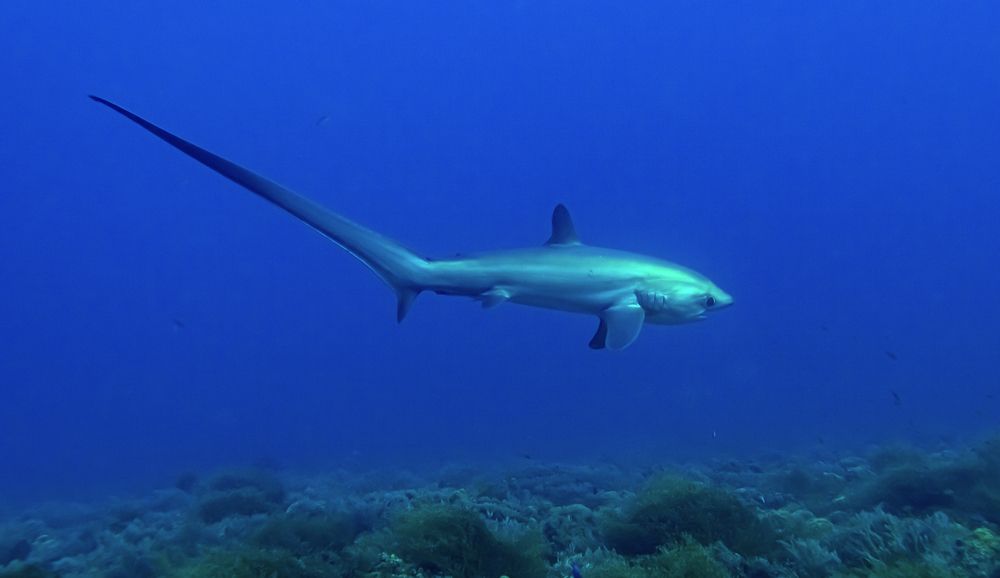 Photograph by Александр Федяев