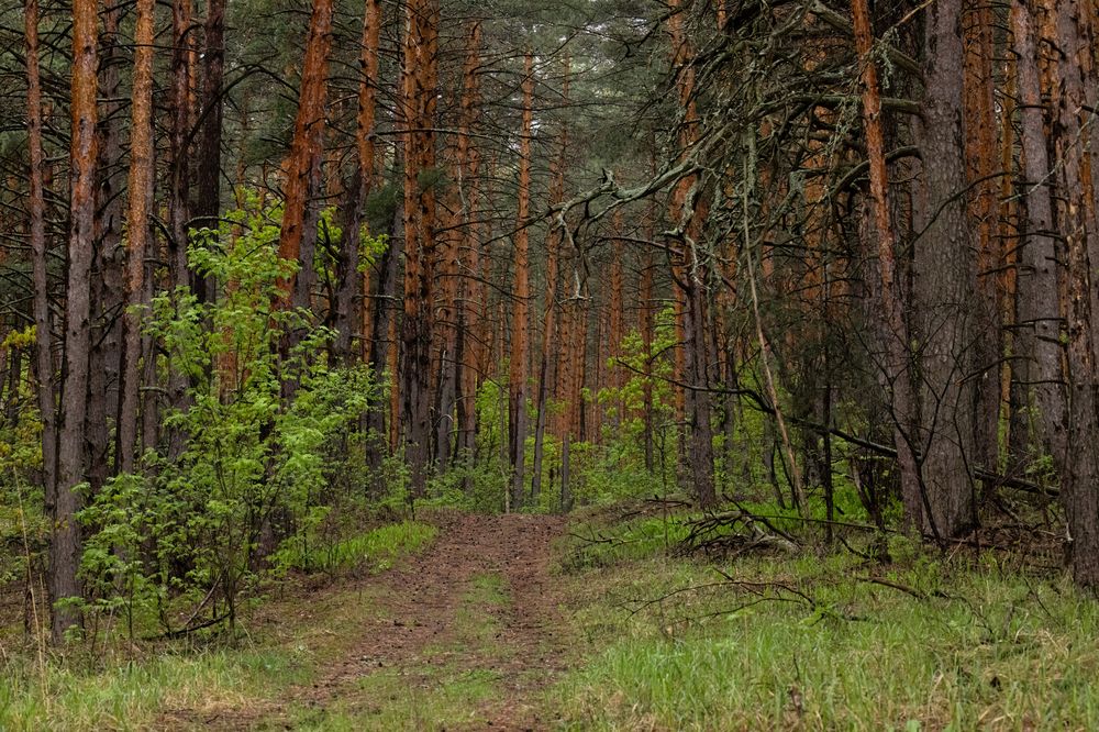 Photograph by Галина Павлова