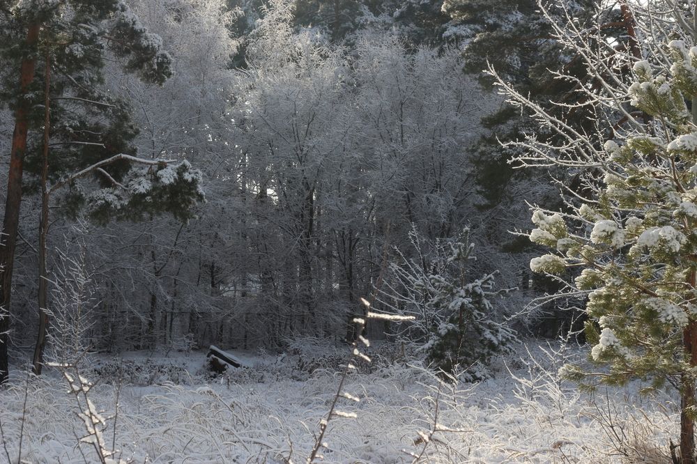 Photograph by АЛЛА ТАРАСЕНКО