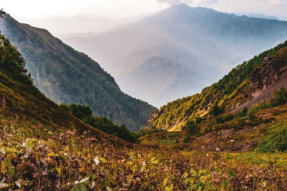 Photograph by Виталий Каргопольцев