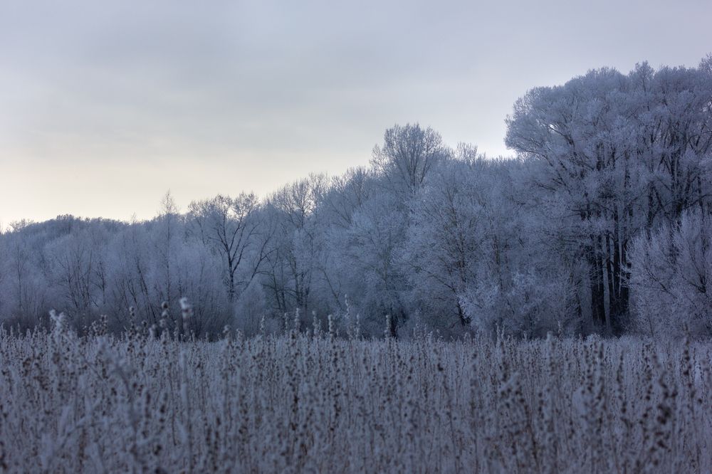 Photograph by Веретельников Дмитрий
