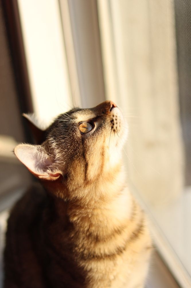 Photograph by Ксения Золотарь