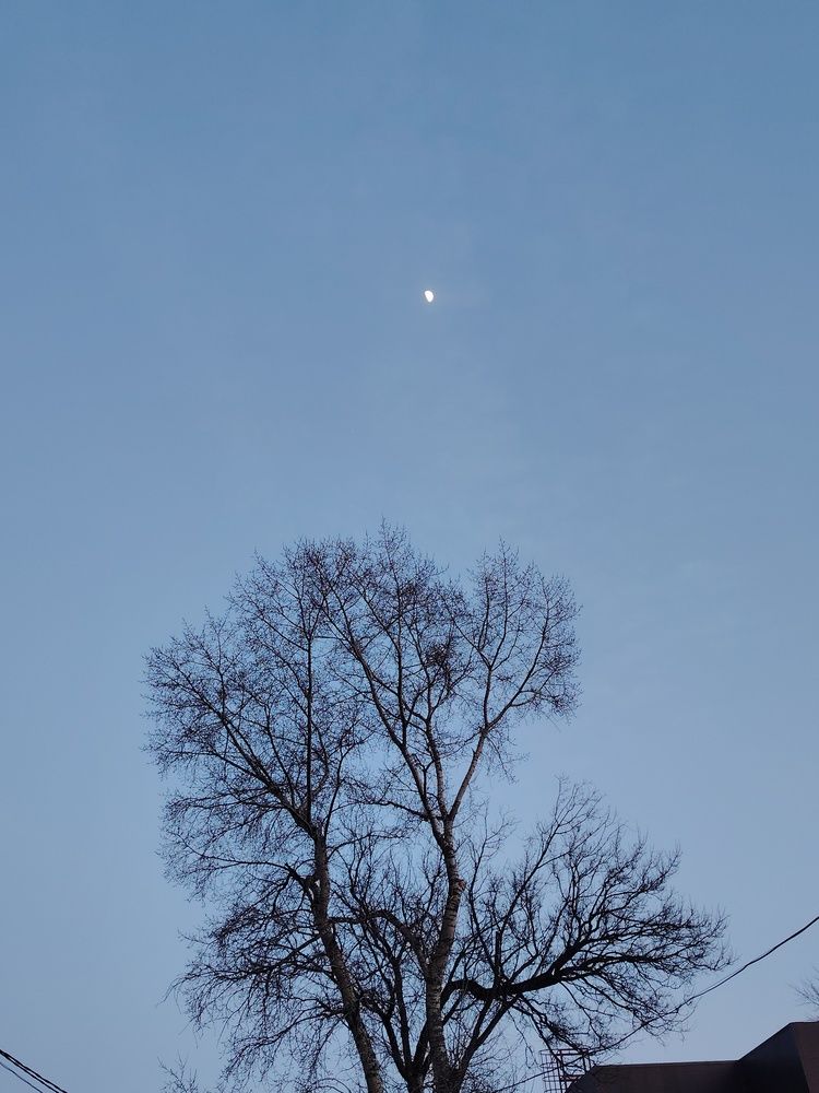 Photo #11840708