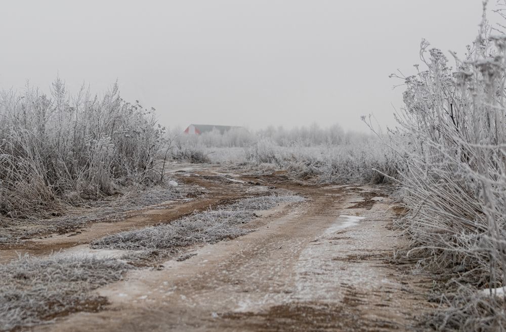 Photograph by Майоров Виктор