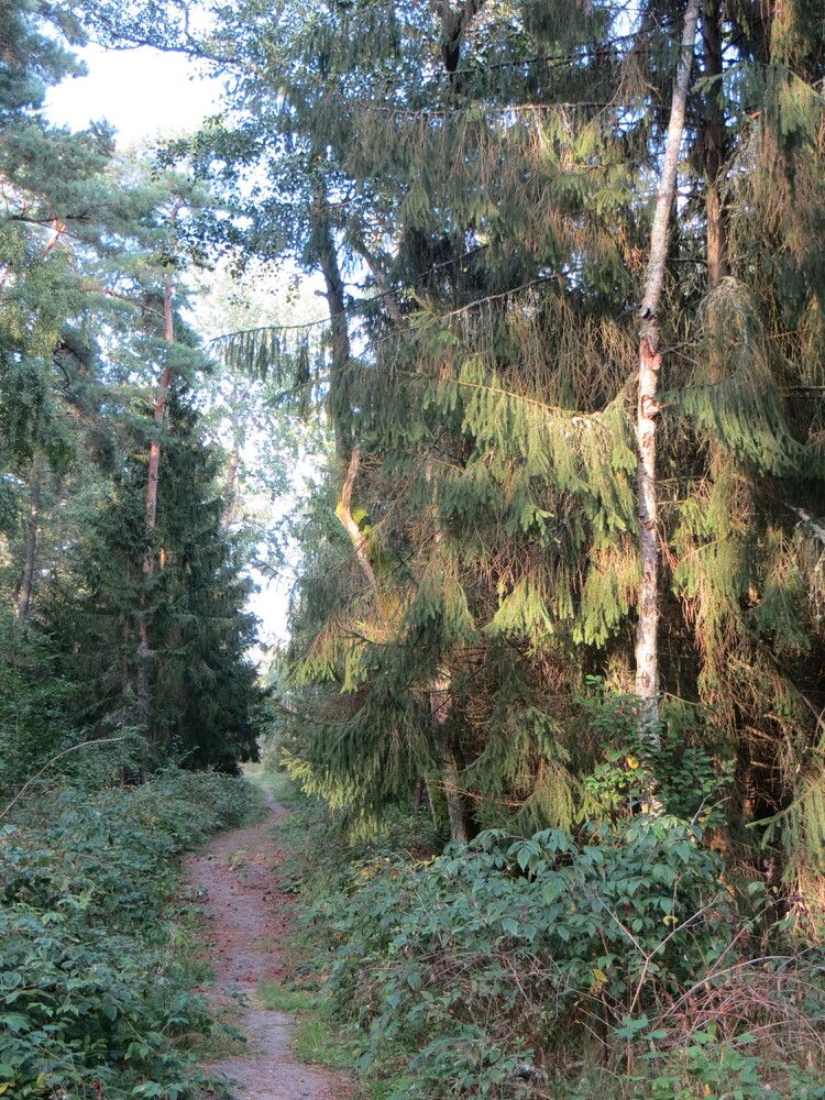 Photograph by Татьяна Поминова