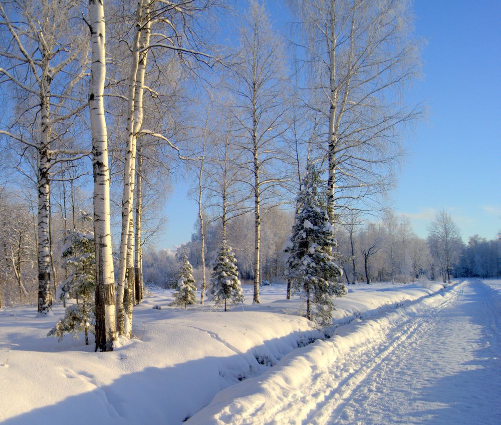 Photograph by Михаил Вечерский