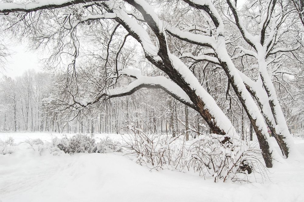 Photograph by Лапенкова Ольга