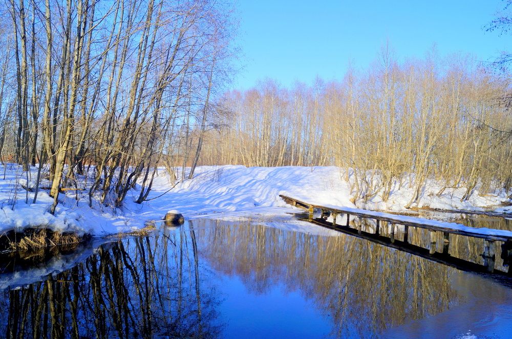 Photograph by Михаил Вечерский